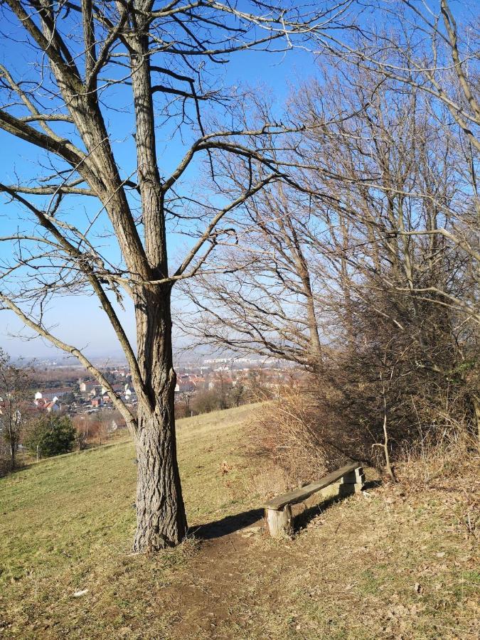 Ferienwohnung Weisses Ross Pirna Luaran gambar
